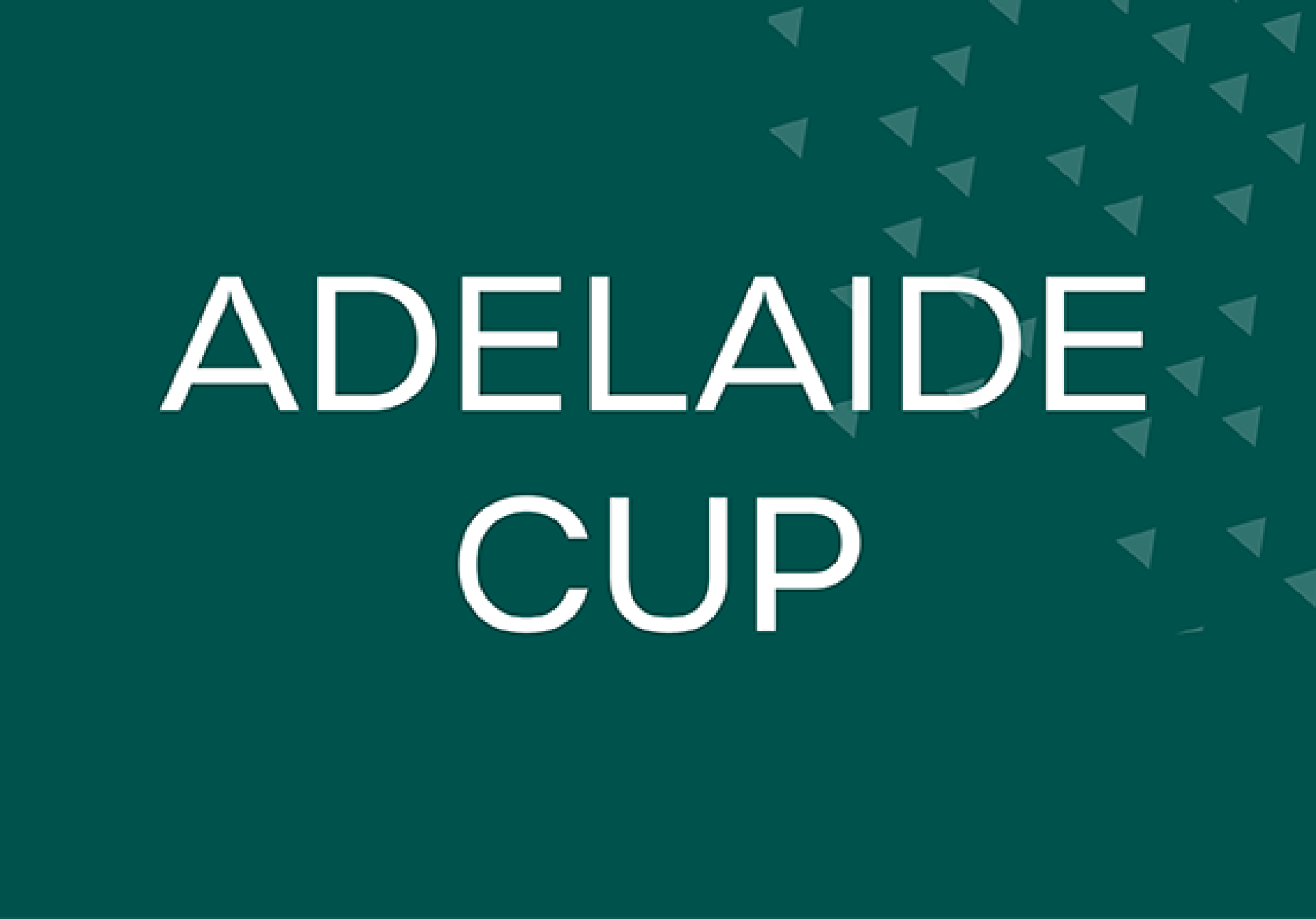 Alwyndor Adelaide Cup 002