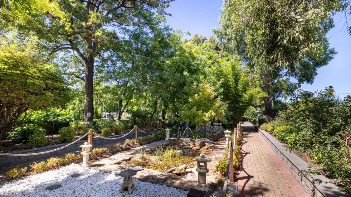 Pond Garden