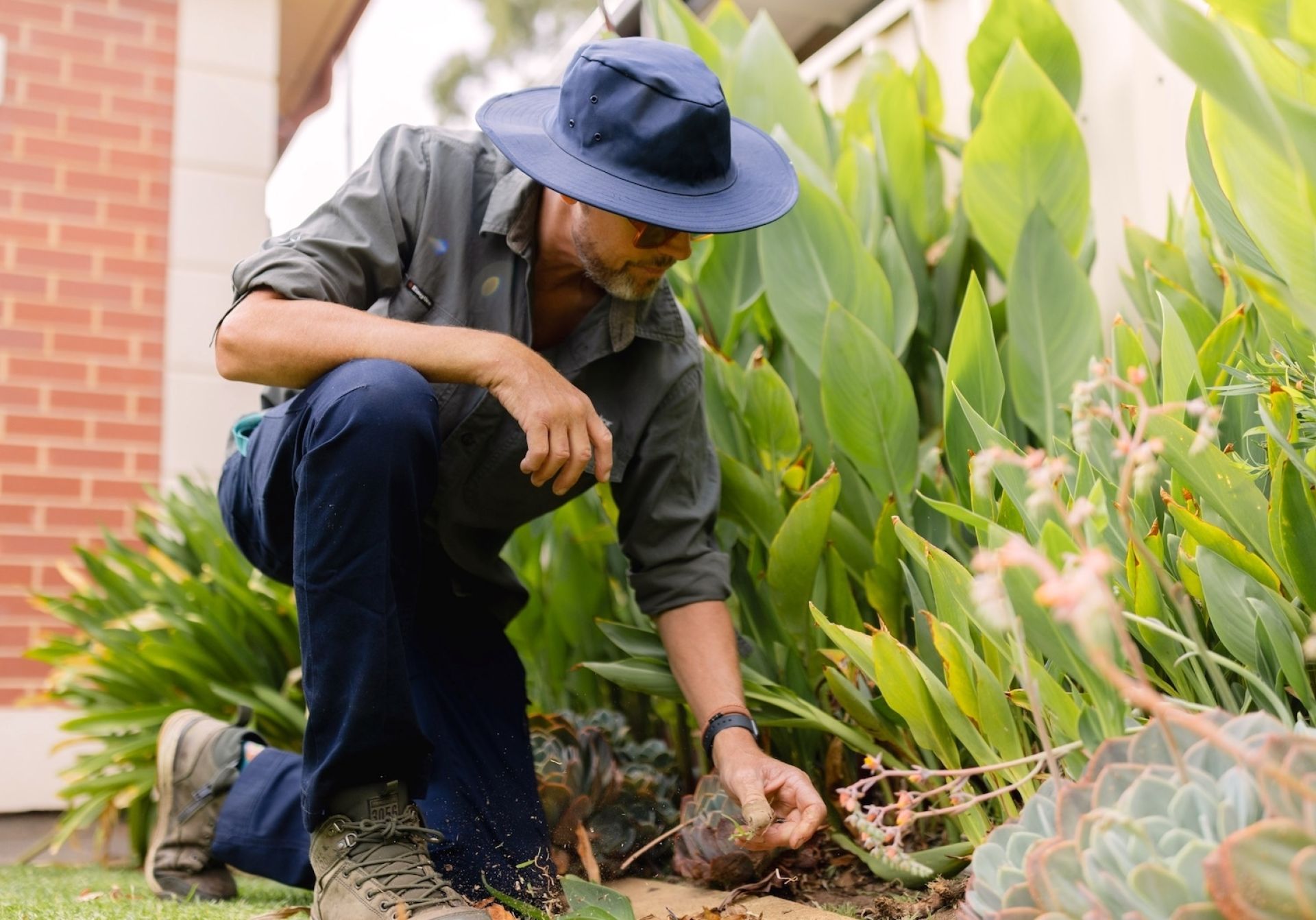 Home Maintenance and Gardening