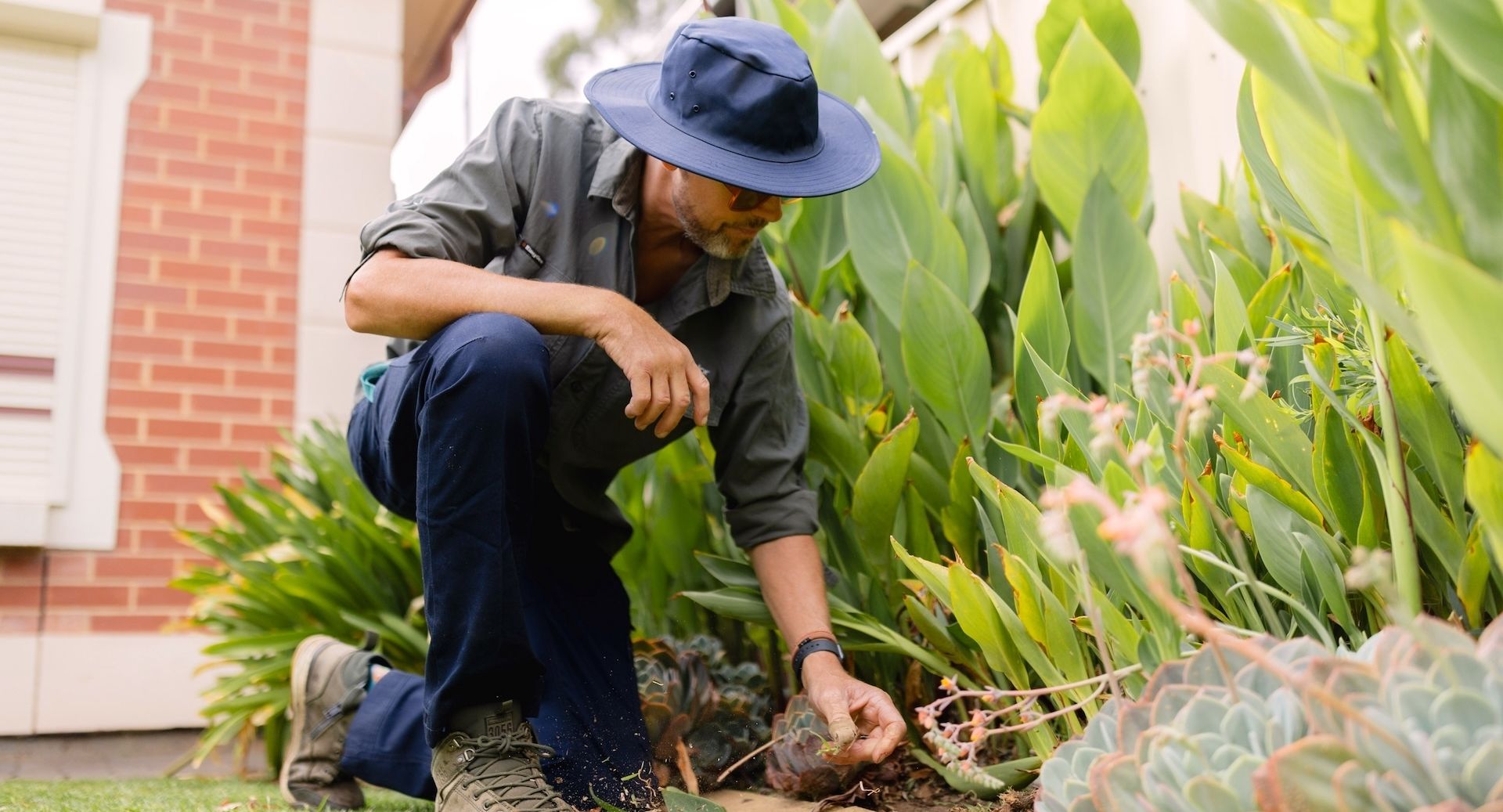 Home Maintenance and Gardening
