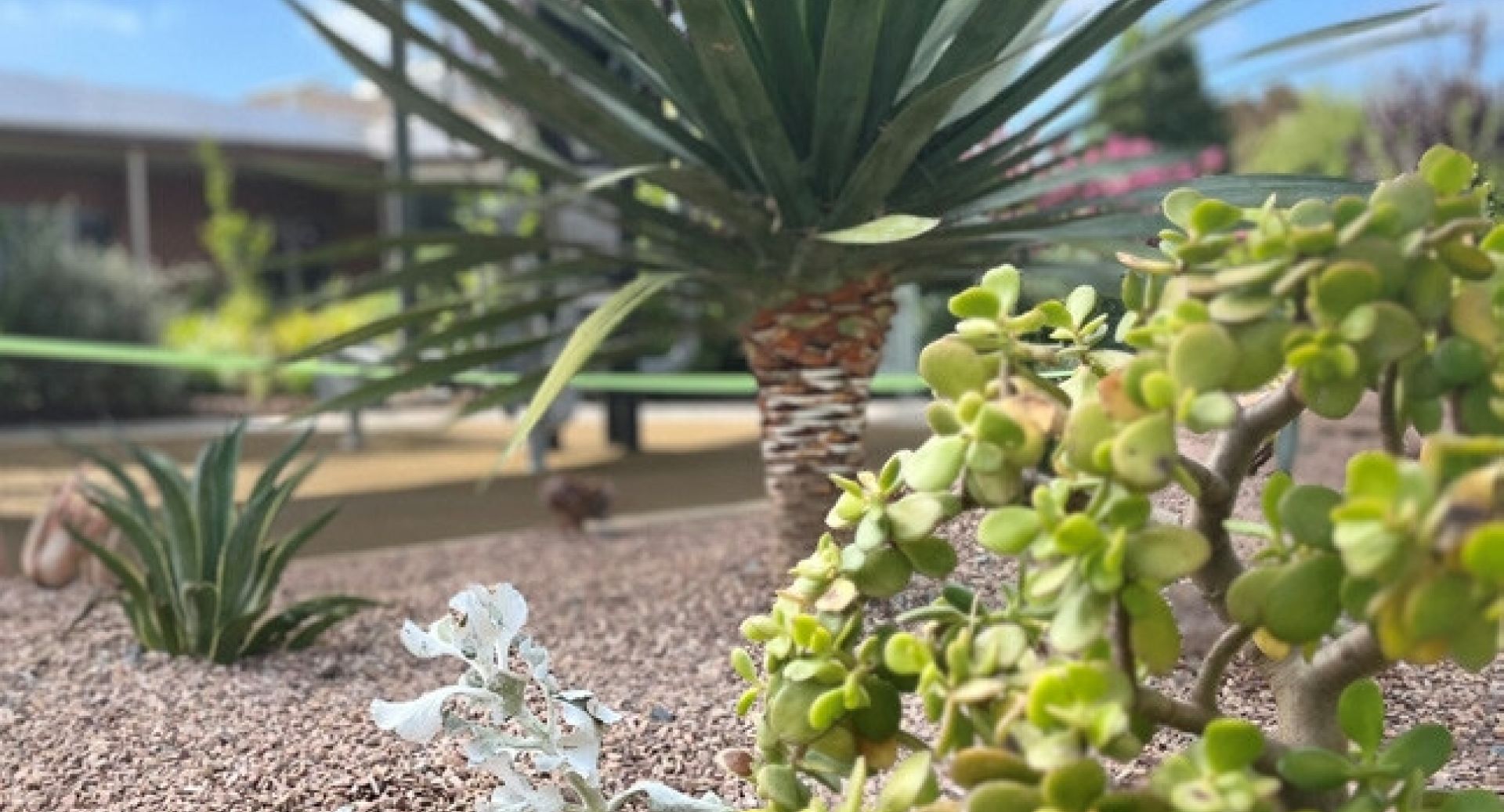 04404 Alwyndor Newsletter Autumn 2023 print ready 002